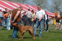 Koninginnedag 2004 - Doggy Dance (2)