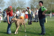 Koninginnedag 2004 - Doggy Dance (2)