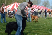 Koninginnedag 2004 - Doggy Dance (2)
