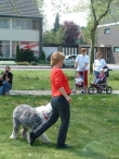 Koninginnedag 2004 - Doggy Dance (2)
