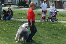 Koninginnedag 2004 - Doggy Dance (2)