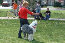Koninginnedag 2004 - Doggy Dance (2)
