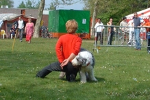 Koninginnedag 2004 - Doggy Dance (2)