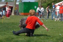 Koninginnedag 2004 - Doggy Dance (2)