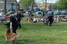 Koninginnedag 2004 - Doggy Dance (2)