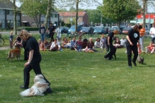 Koninginnedag 2004 - Doggy Dance (2)