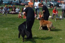 Koninginnedag 2004 - Doggy Dance (2)