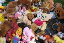 Koninginnedag 2004 - Optocht en Vlaghijsen