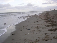 Ria Buiten: Hoek v. Holland-IJmuiden
