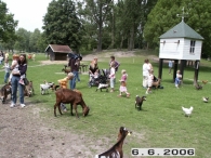 25 Jaar Scharrelberg