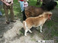 25 Jaar Scharrelberg