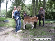 25 Jaar Scharrelberg