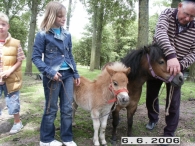 25 Jaar Scharrelberg