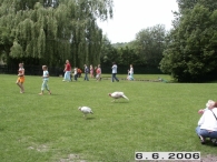 25 Jaar Scharrelberg