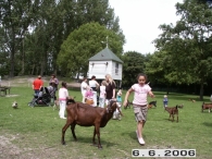 25 Jaar Scharrelberg