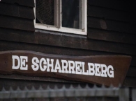 Geboorte paard
