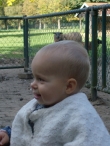 €5.700 voor Scharrelberg