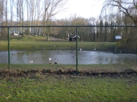 Nieuw hek Scharrelberg (3)