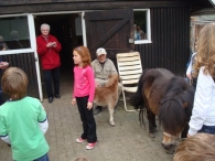 Open dag De Scharrelberg