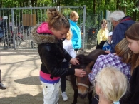 Open dag De Scharrelberg