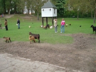 Open dag De Scharrelberg