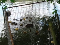 Open dag De Scharrelberg