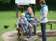 Open dag De Scharrelberg