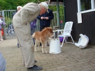 Open dag De Scharrelberg
