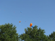 Op voeten en fietsen naar school