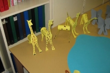 Landenproject Rank en Klimop