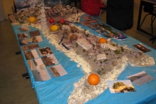 Landenproject Rank en Klimop