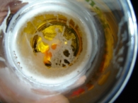 X-Factor finalefeest (3)