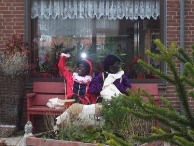 Intocht Sinterklaas 2007 (3)