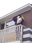 Intocht Sinterklaas 2007 (3)