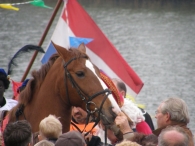 Intocht Sinterklaas 2007