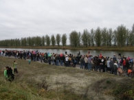 Intocht Sinterklaas 2008