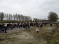 Intocht Sinterklaas 2008