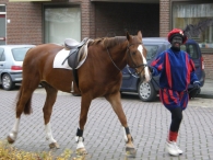 Intocht Sinterklaas 2008