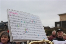 Intocht Sinterklaas 2008 (2)