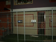 EK 2012: Opbouw Chrasnapolski (2)