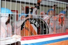 EK 2012: Nederland - Denemarken