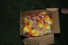 WK 2010: Nederland - Brazilië