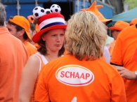 WK 2010: Nederland - Denemarken (2)