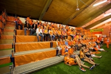 WK 2010: Nederland - Denemarken (3)