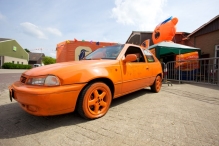 WK 2010: Nederland - Denemarken (3)