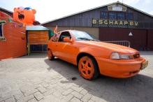 WK 2010: Nederland - Denemarken (3)