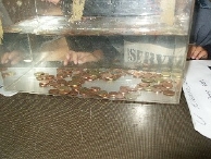 Werkgroepenmarkt De Voorhof