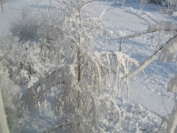 Winterweer
