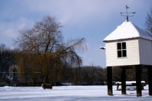 Winterweer