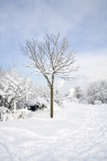 Winterweer